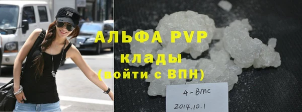 спиды Новодвинск