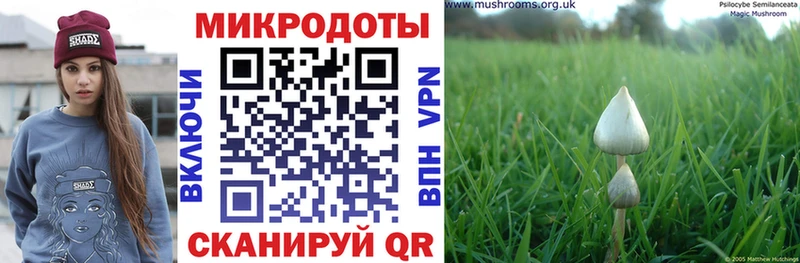 Галлюциногенные грибы прущие грибы  Купить  Электросталь 